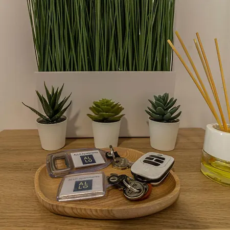 Allo Arroyo Atico Parking Centro 1 Jerez de la Frontera