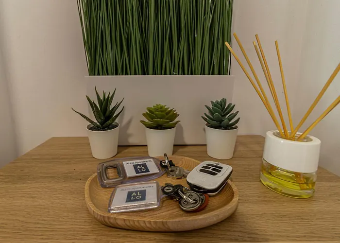 Allo Arroyo Atico Parking Centro 1 Jerez de la Frontera